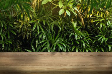 Ormandaki tahta masa. Yeşil yapraklı tropikal bitkilere karşı boş yüzey. Tasarım için alanı olan poster