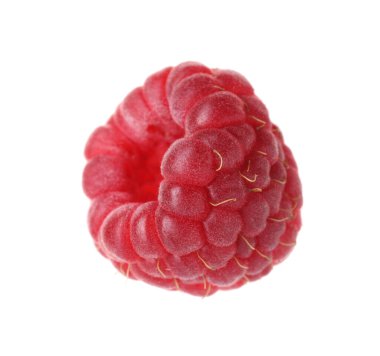 Beyaza izole edilmiş taze bir ahududu.