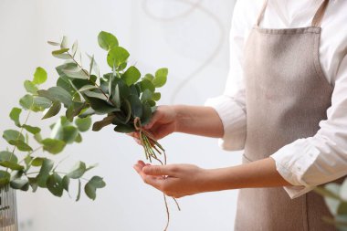 Çiçekçi, çiçekçide okaliptüs dallarından güzel bir buket yapıyor.