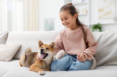 Evdeki kanepede köpeği olan sevimli küçük bir kız. Çocuk ve hayvan
