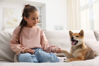 Evdeki kanepede köpeği olan sevimli küçük bir kız. Çocuk ve hayvan