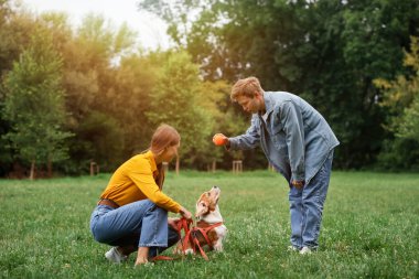 Bir çift dışarıda sevimli Beagle köpeğiyle vakit geçiriyor.