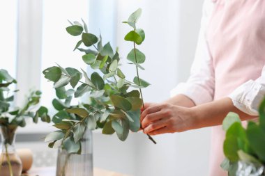 Çiçekçi, çiçekçide okaliptüs dallarından güzel bir buket yapıyor.