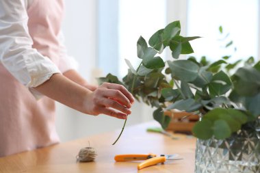 Çiçekçinin ahşap masasında okaliptüs dallarından güzel bir buket yapıyor.