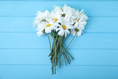 Mavi ahşap masadaki güzel papatya çiçekleri.