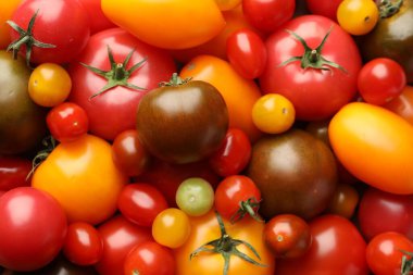 Arka plan olarak farklı olgun sulu domatesler, yakın plan