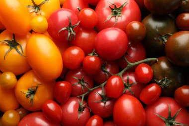 Arka plan olarak farklı olgun sulu domatesler, yakın plan