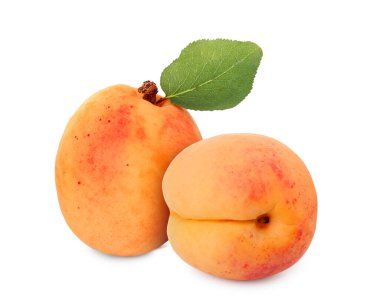 Beyaza izole edilmiş taze kayısılar. Yaz meyvesi