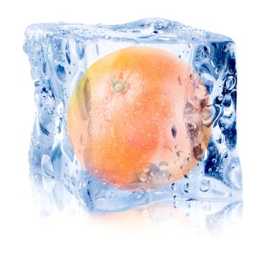 Beyaz zemin üzerinde buz küpünün içinde taze greyfurt
