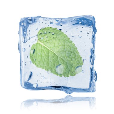 Beyaz zemin üzerinde temiz buz küpünün içinde taze nane yaprağı