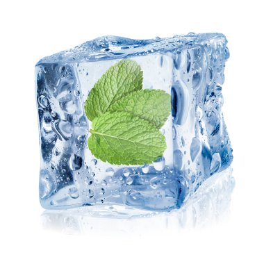 Beyaz zemin üzerinde temiz buz küpünün içindeki taze nane yaprakları
