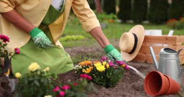 Eldivenli kadın bahçede tırmıkla çalışıyor, yakın plan. Güzel çiçekler naklediliyor.