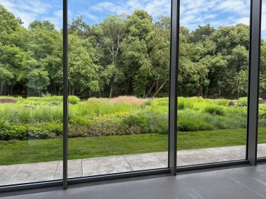 Güzel yeşil ağaçlar ve mavi gökyüzünün altındaki diğer farklı bitkiler, panoramik pencerelerden bakıyorlar.