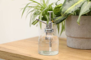 Püskürtme şişesi ve ahşap masa üzerindeki farklı bitkiler kapalı, yakın çekim