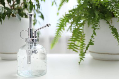 Sprey şişesi ve beyaz masadaki farklı bitkiler, yakın plan. Metin için boşluk