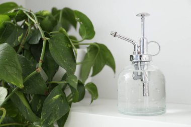 Sprey şişesi ve saksı çiçeği beyaz rafta, yakın plan.