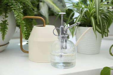 Püskürtme şişesi, su bidonu ve pencere eşiğindeki farklı bitkiler, yakın plan.