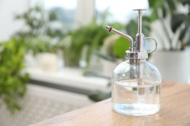 Çiçek bakımı. İçerideki ahşap masada sprey boya şişesi, yakın plan. Metin için boşluk