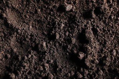 Arka plan olarak taze toprak, üst manzara. Organik madde