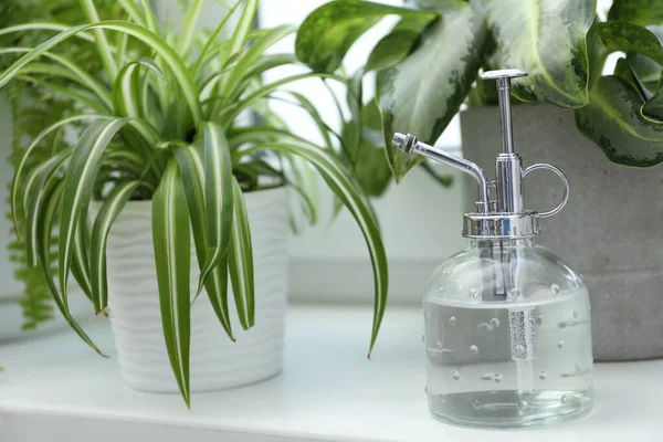 Püskürtme şişesi ve pencere eşiğindeki farklı bitkiler, yakın çekim.