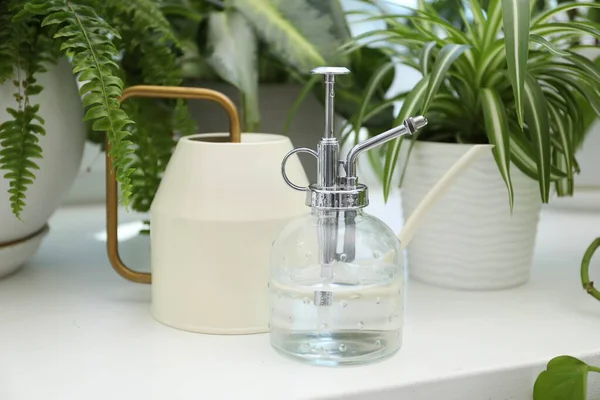 Püskürtme şişesi, su bidonu ve pencere eşiğindeki farklı bitkiler, yakın plan.