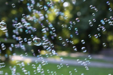 Parkta yüzen şeffaf sabun köpükleri