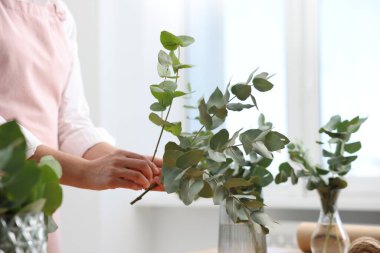 Çiçekçi, çiçekçide okaliptüs dallarından güzel bir buket yapıyor.