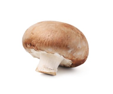 Beyaz tenli taze bir şampiyon.