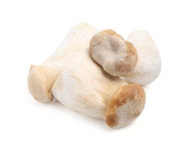 Taze taze eringii mantarları beyaza izole edilmiş.