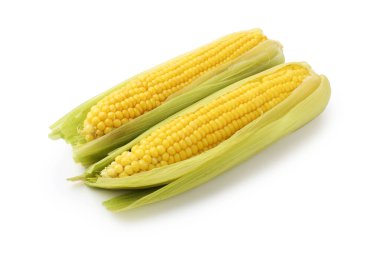 İki lezzetli haşlanmış mısır koçanı beyaza izole edilmiş.