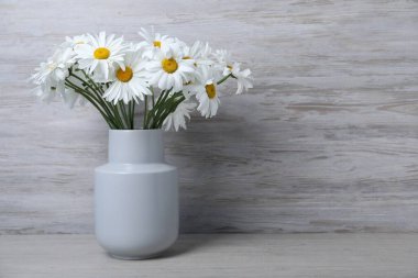 Gri ahşap masadaki vazoda güzel papatya çiçekleri, yakın plan. Metin için boşluk