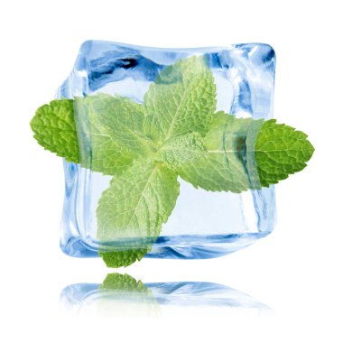 Beyaz zemin üzerinde temiz buz küpünün içindeki taze nane yaprakları