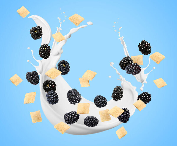 Splashing milk with sweet corn pads and fresh blackberries in air against light blue background. Healthy breakfast