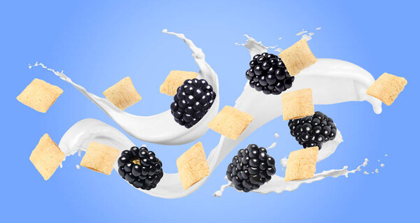 Splashing milk with sweet corn pads and fresh blackberries in air against blue background. Healthy breakfast