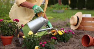 Eldivenli bir kadın bahçede konserve nakli yaptıktan sonra çiçekleri suluyor.
