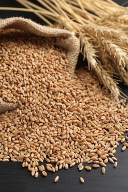 Çuval bezinde buğday taneleri ve siyah ahşap masada çiviler, yakın plan.