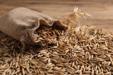 Yulaf taneleri ve çuval tahta masaya, yakın plan.