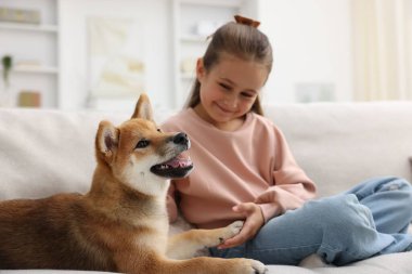 Evdeki kanepede köpeği olan sevimli küçük bir kız. Çocuk ve hayvan