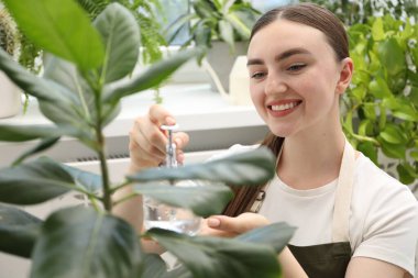 Genç bir kadın, güzel çiçekleri kapalı alandaki şişelerden su püskürtüyor.