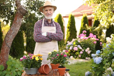 Bahçesinde çiçek saksısı olan şapkalı ve önlüklü yaşlı bir adam.
