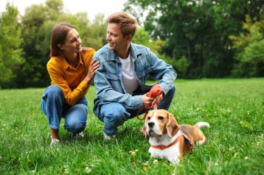 Bir çift dışarıda sevimli Beagle köpeğiyle vakit geçiriyor.