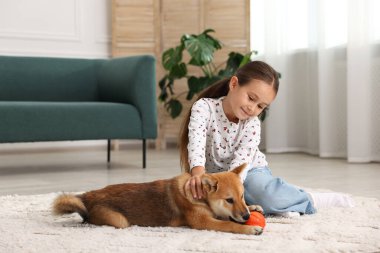Evde köpeğiyle oynayan sevimli küçük bir kız. Çocuk ve hayvan