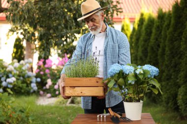 Bahçesinde saksı çiçekleri olan şapkalı yaşlı bir adam.