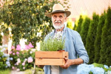 Bahçesinde güzel bitkiler olan şapkalı yaşlı bir adam.