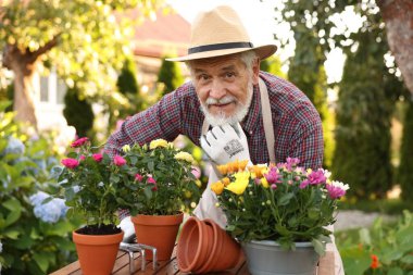 Şapkalı ve önlüklü yaşlı bir adamın portresi Bahçede güzel saksı çiçekleri
