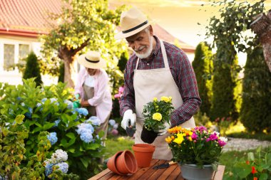 Bahçedeki bitkilerle çalışan şapkalı yaşlı çift, seçici odaklı.