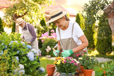 Bahçedeki bitkilerle çalışan şapkalı yaşlı çift, seçici odaklı.