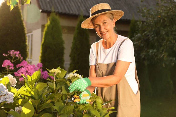 Şapkalı ve önlüklü gülümseyen yaşlı kadın bahçedeki mezhepçilerle çiçekleri buduyor.