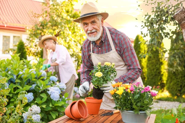 Bahçedeki bitkilerle çalışan şapkalı yaşlı çift, seçici odaklı.
