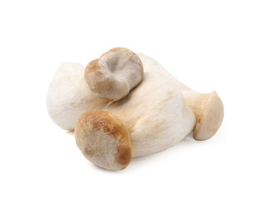 Taze taze eringii mantarları beyaza izole edilmiş.